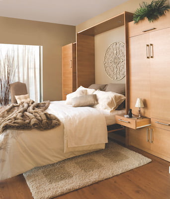 murphy bed st louis